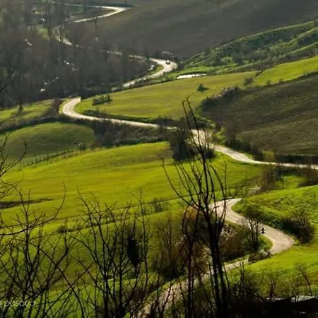 Nonna Maria אורחן *